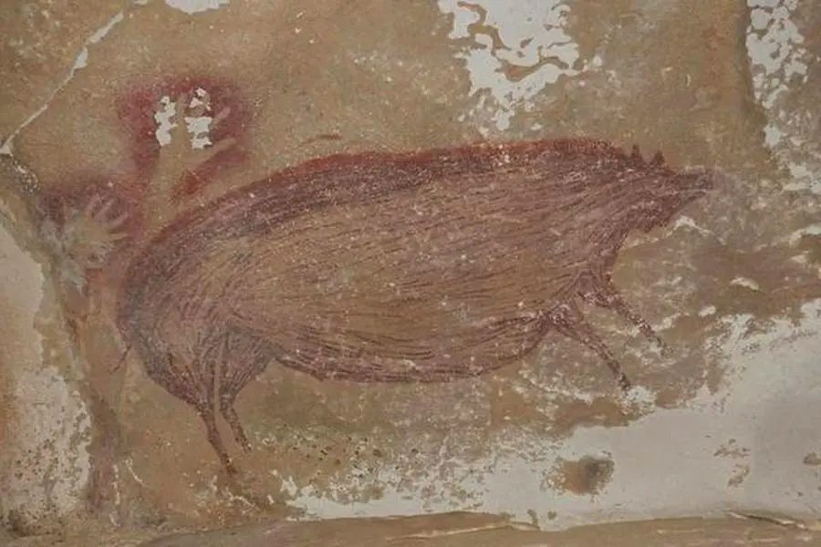 Ảnh chụp bức tranh vẽ con lợn tại Leang Tedongnge ở Sulawesi, Indonesia, khoảng 45.500 năm trước | Nguồn ảnh: AFP