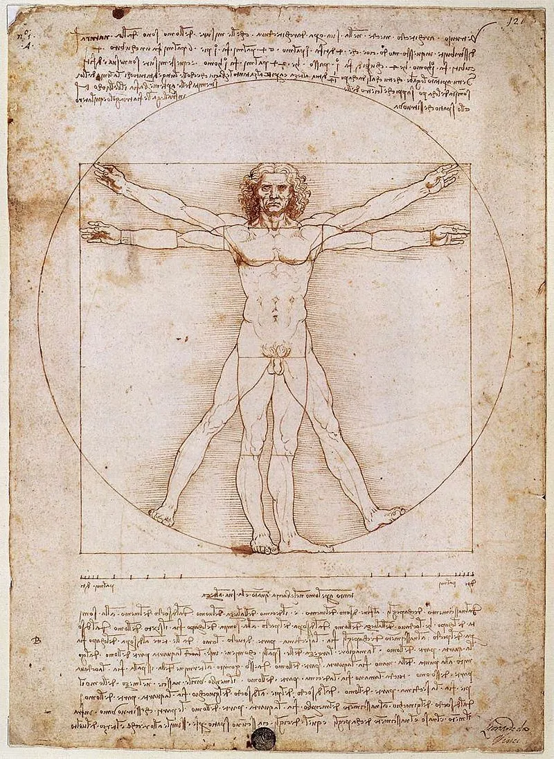 Vitruvian Man - một trong những hình minh họa của Leonardo DaVinci trong tác phẩm “De Divina Proportione” (ảnh: wikipedia)